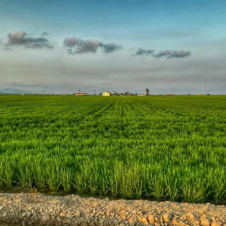 Brisa Del Delta *